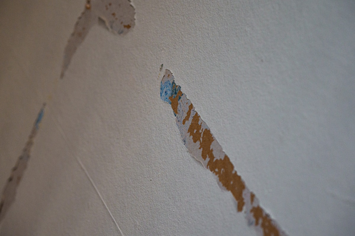 Flood Cleanup service in Germantown, MD